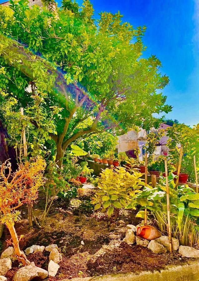 Borgo Virginia - Sea View In Amalfi Coast Apartment Vietri Bagian luar foto